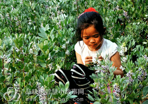 11歲微笑妹妹陳禮燕照顧病重父撐起一個(gè)家-平凡人不平凡的故事_平凡人感人小故事